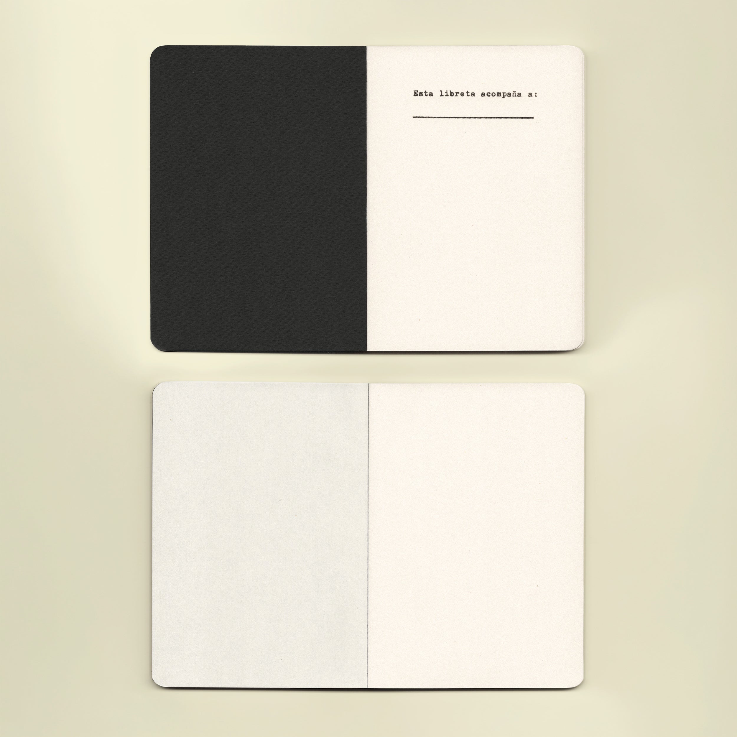 EDITORIAL 96 - COLORES (2 libretas)