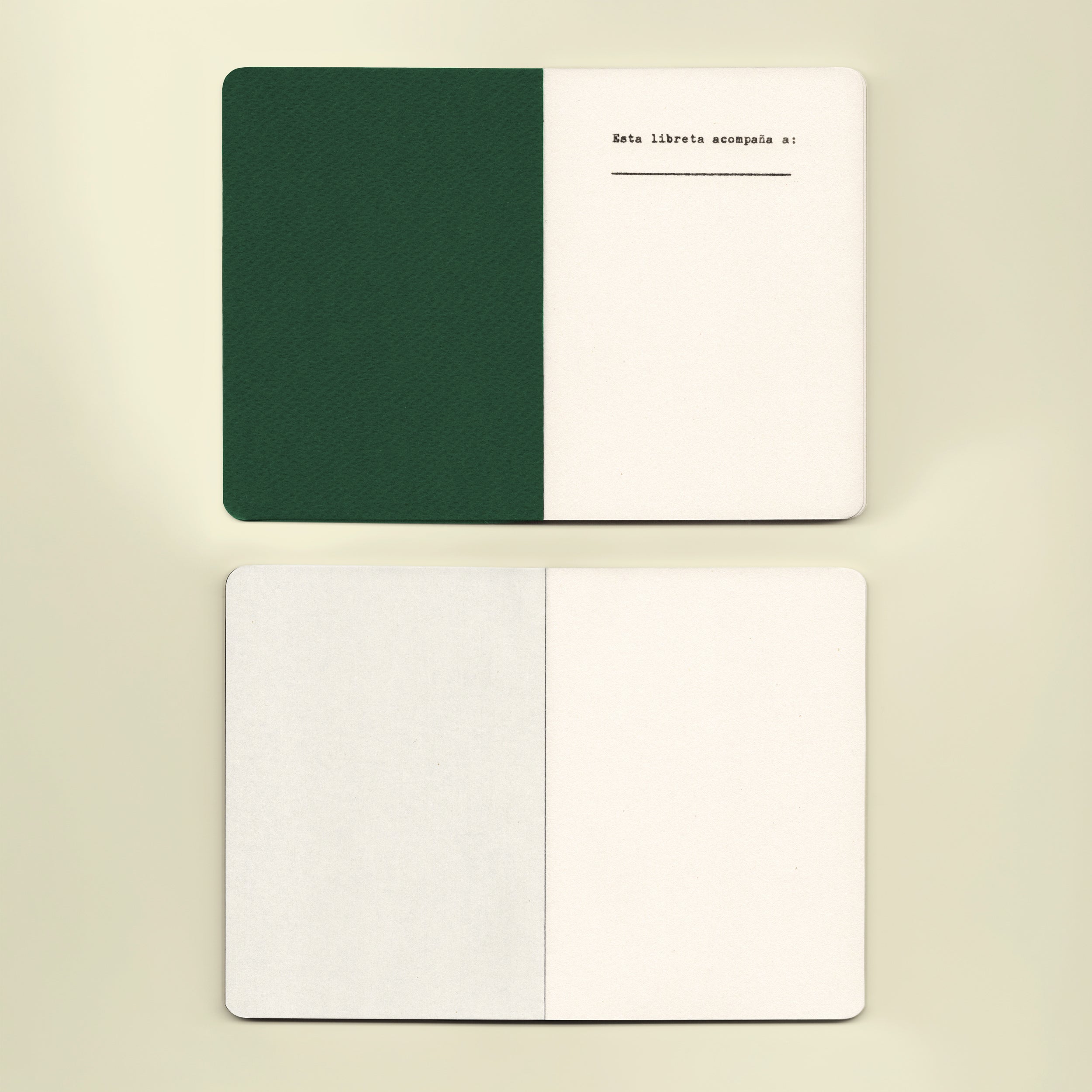 EDITORIAL 96 - COLORES (2 libretas)